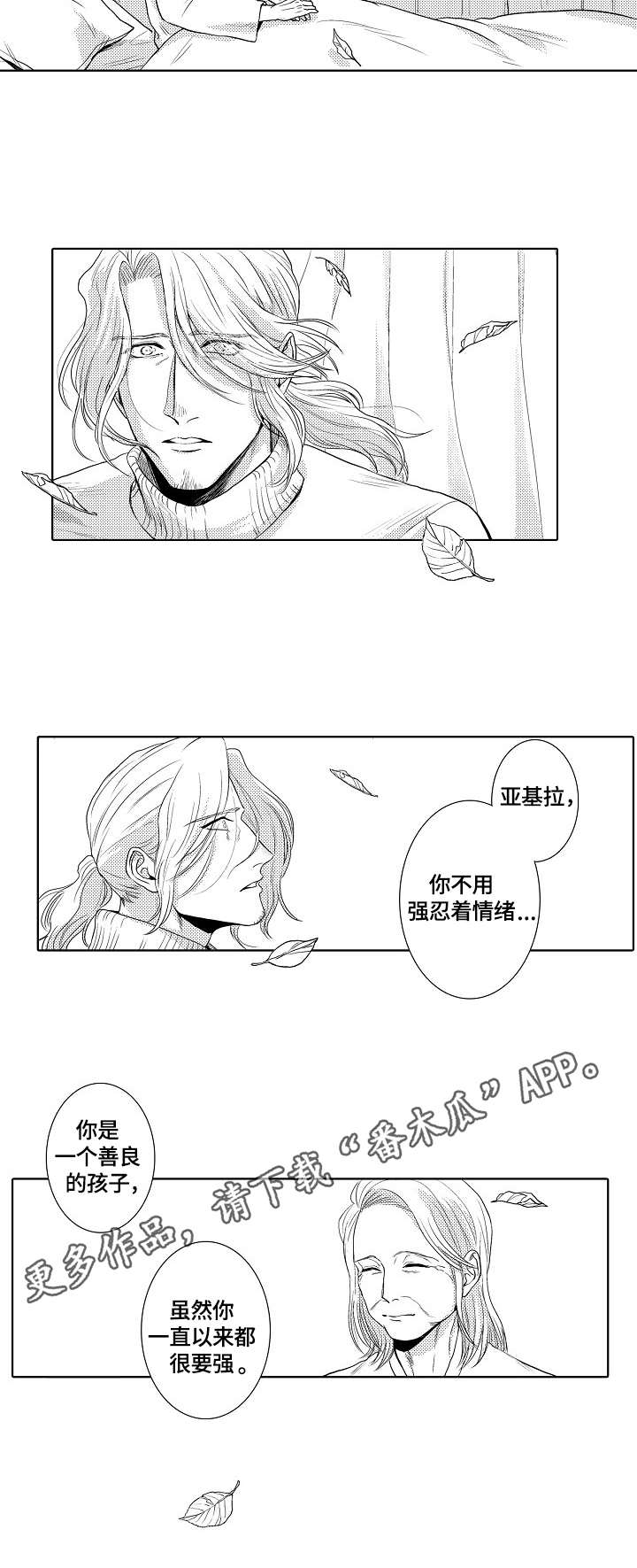 火(火影忍者)漫画漫画,第20章：葬礼4图