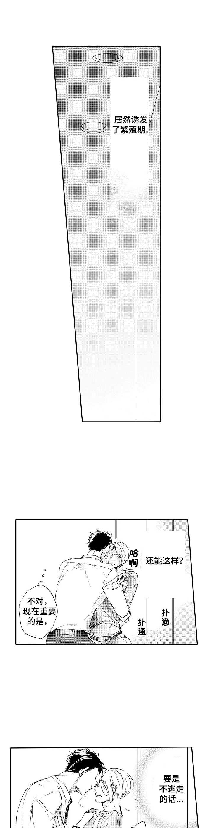 浪漫同行漫画漫画,第12章：诱发2图