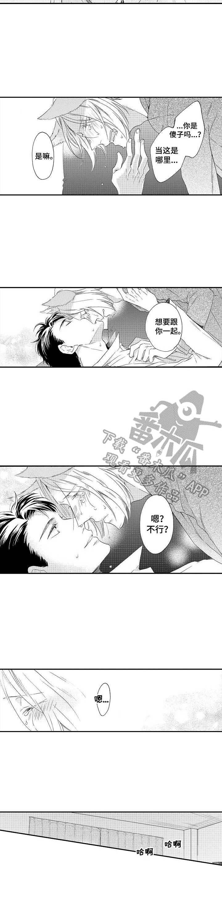 浪漫同行漫画漫画,第18章：很特别3图