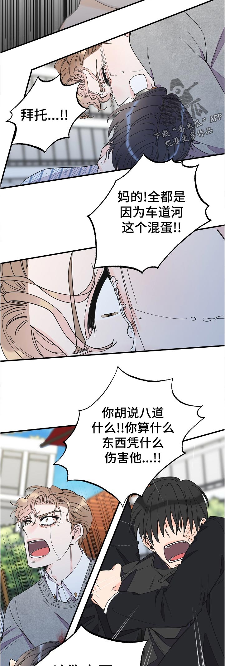 灰姑娘的专属刺客漫画漫画,第116章：受伤4图