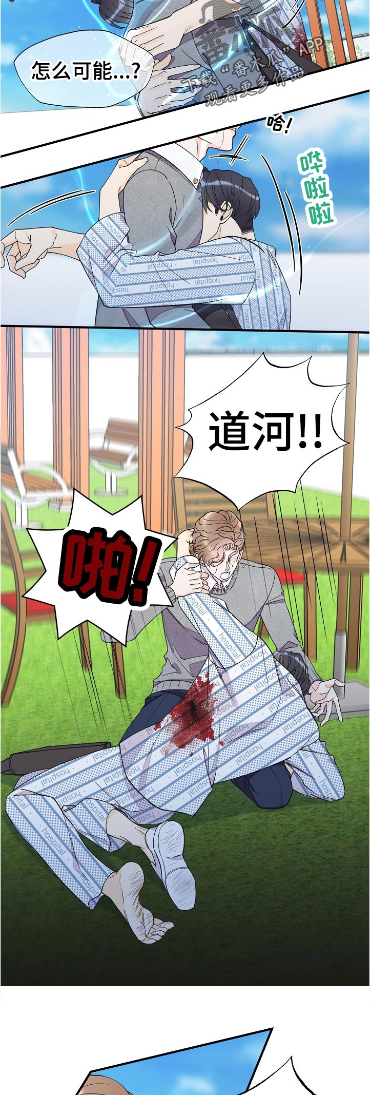 灰姑娘的专属刺客漫画漫画,第116章：受伤2图