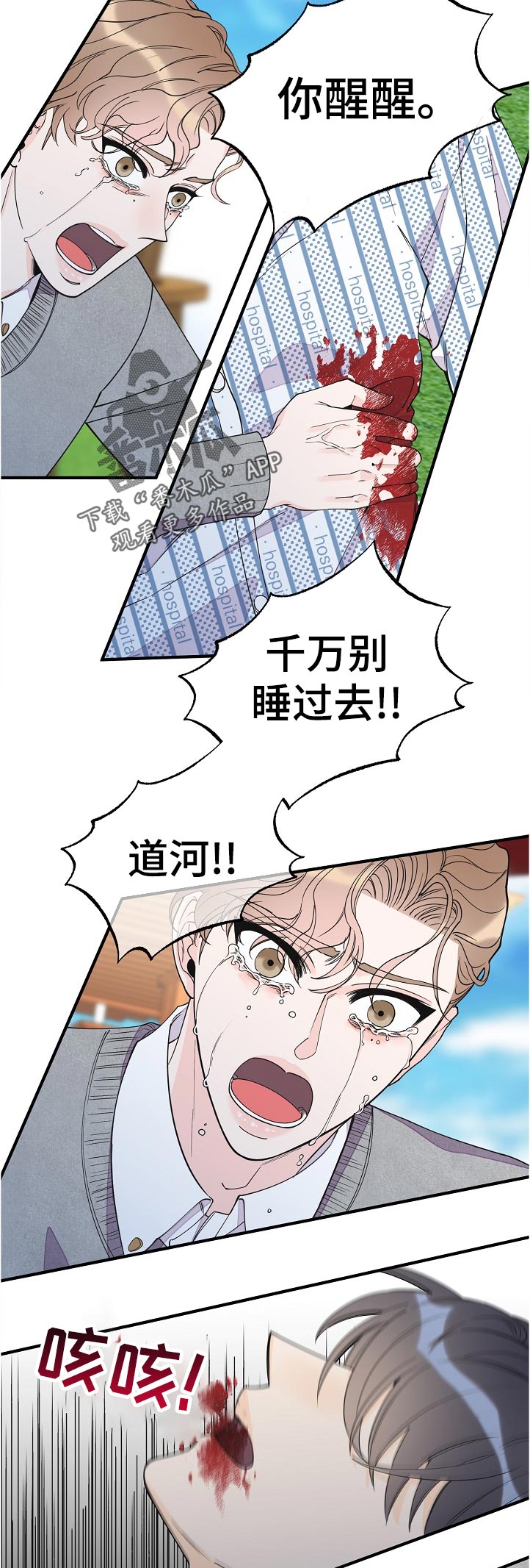 灰姑娘的专属刺客漫画漫画,第116章：受伤3图