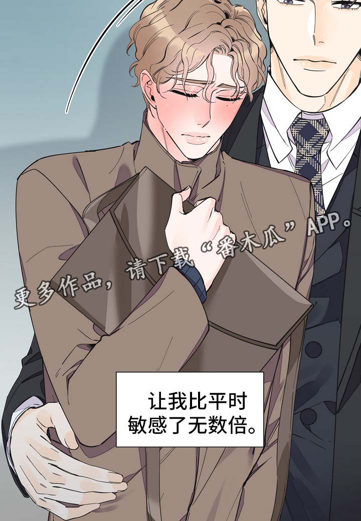 灰姑娘的专属刺客漫画漫画,第33章：你走吧3图