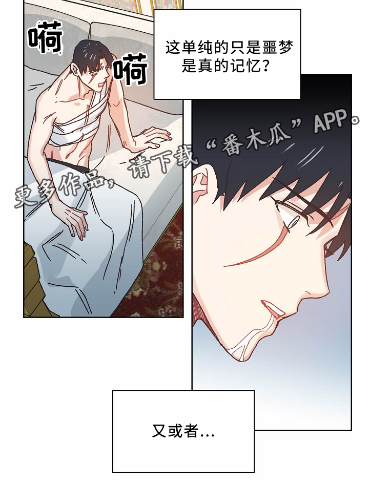 再次重逢的爱小说免费阅读漫画,第36章：记忆3图