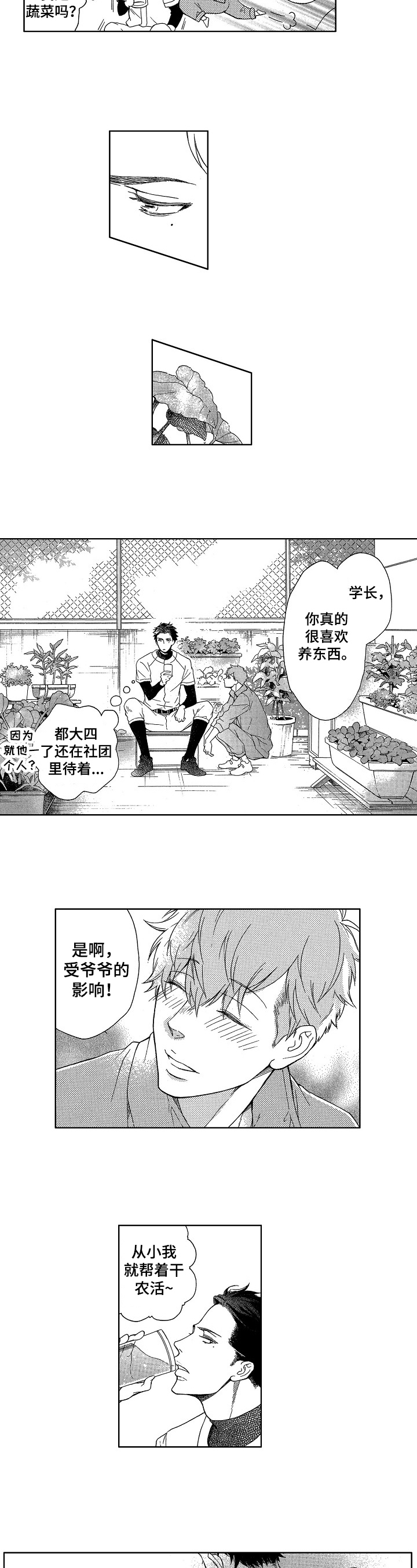情感咨询社漫画漫画,第2章：收获4图