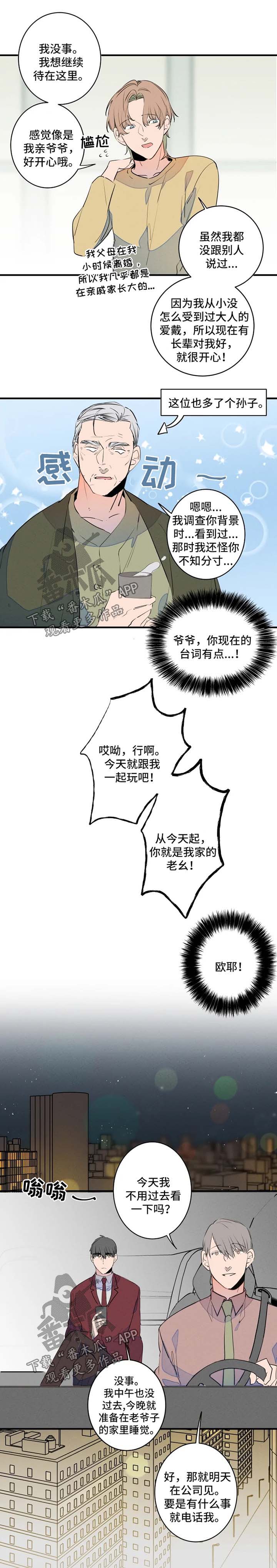 兔兔的小龙宝漫画漫画,第44章：争夺3图