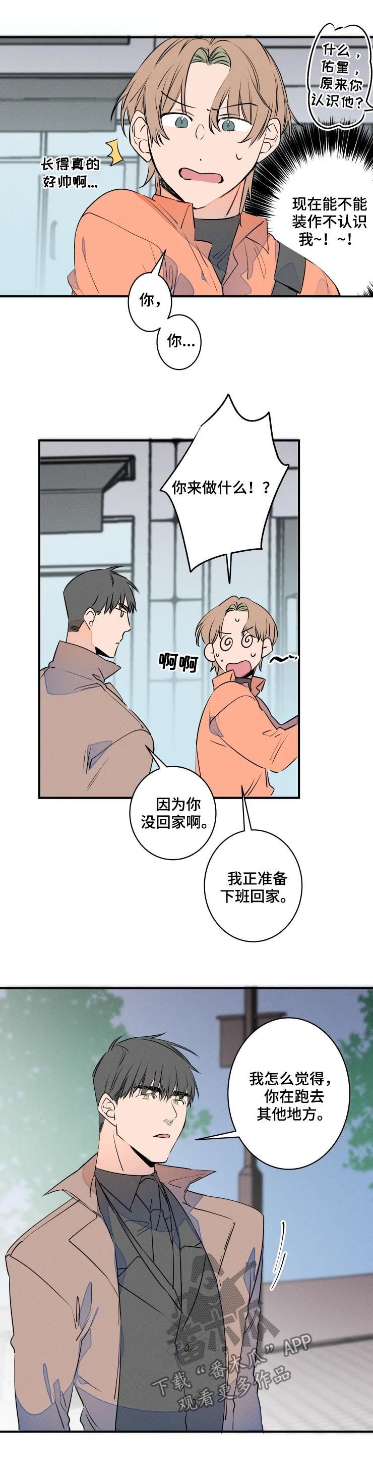 兔兔的小龙宝漫画作者漫画,第61章：聚餐2图