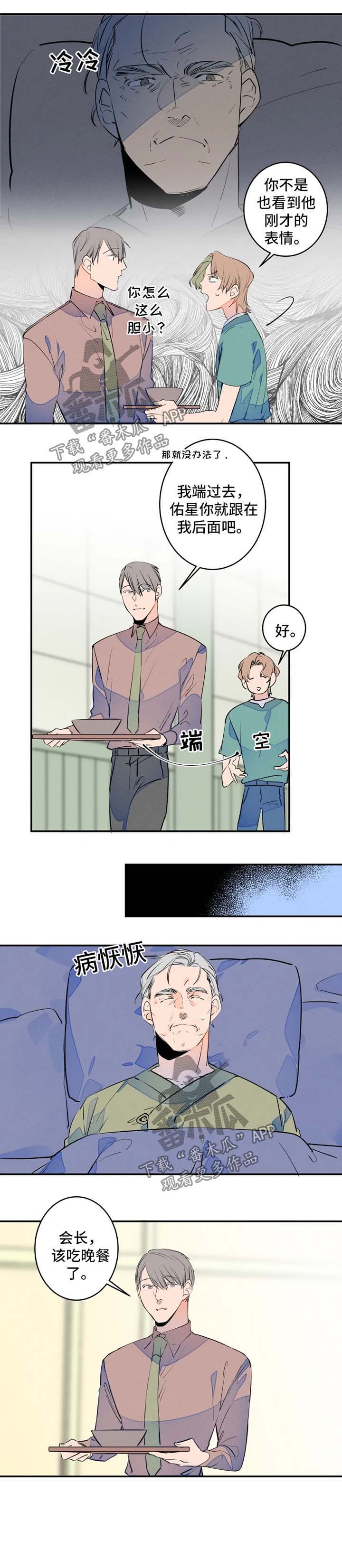 兔兔的小龙宝漫画漫画,第39章：照顾爷爷1图