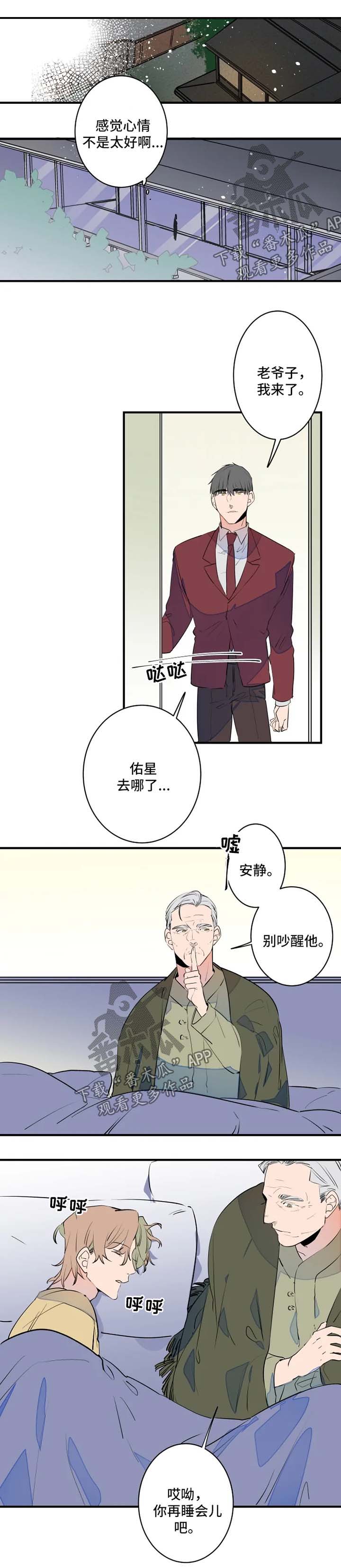 兔兔的小龙宝漫画漫画,第44章：争夺4图