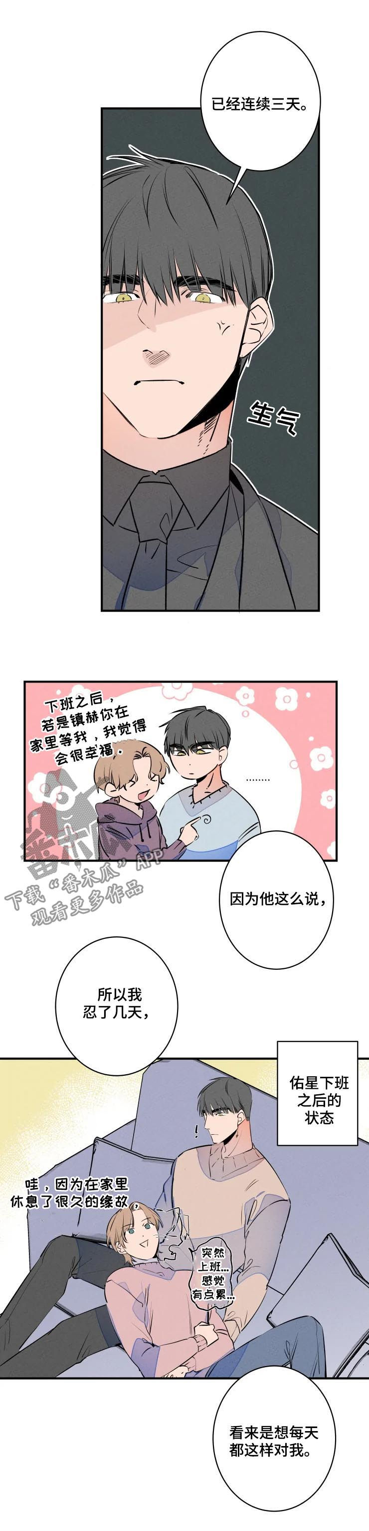 兔兔的小龙宝漫画漫画,第60章：加班3图