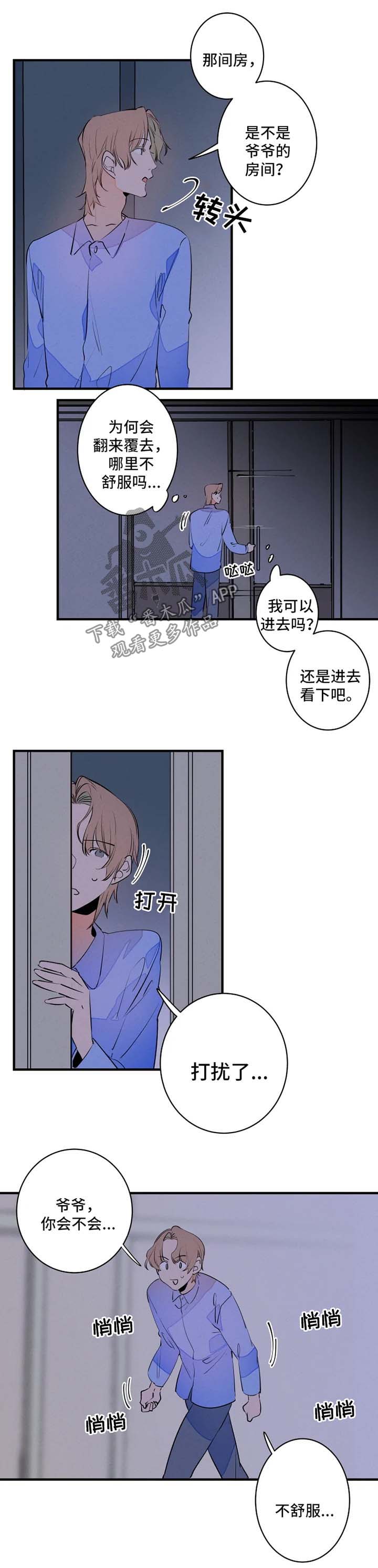 兔兔的小龙宝漫画漫画,第41章：退烧1图