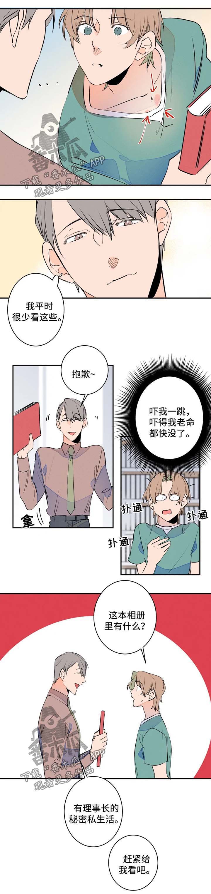 兔兔的小龙宝漫画漫画,第40章：照片分享4图