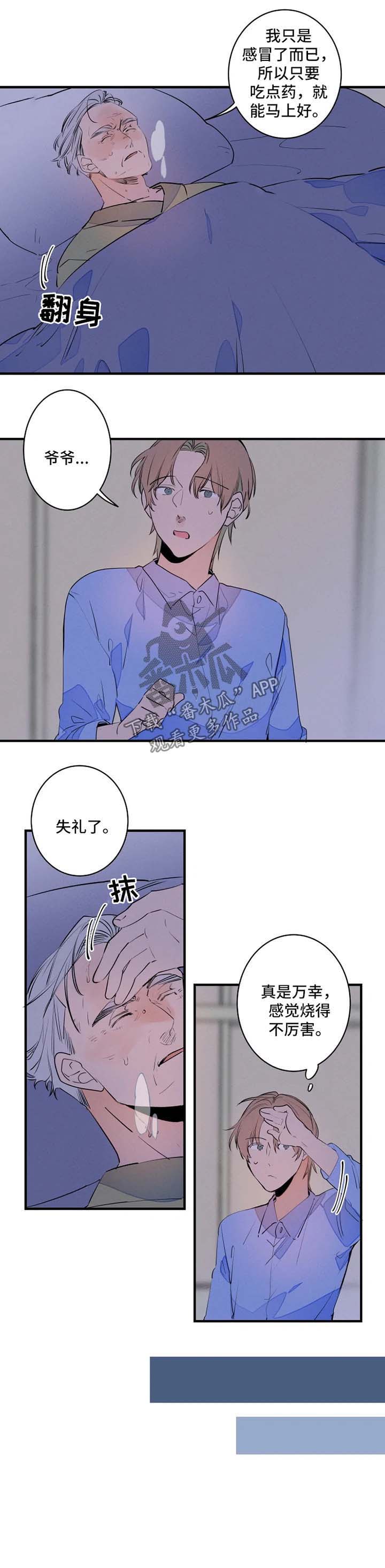 兔兔的小龙宝漫画漫画,第41章：退烧3图