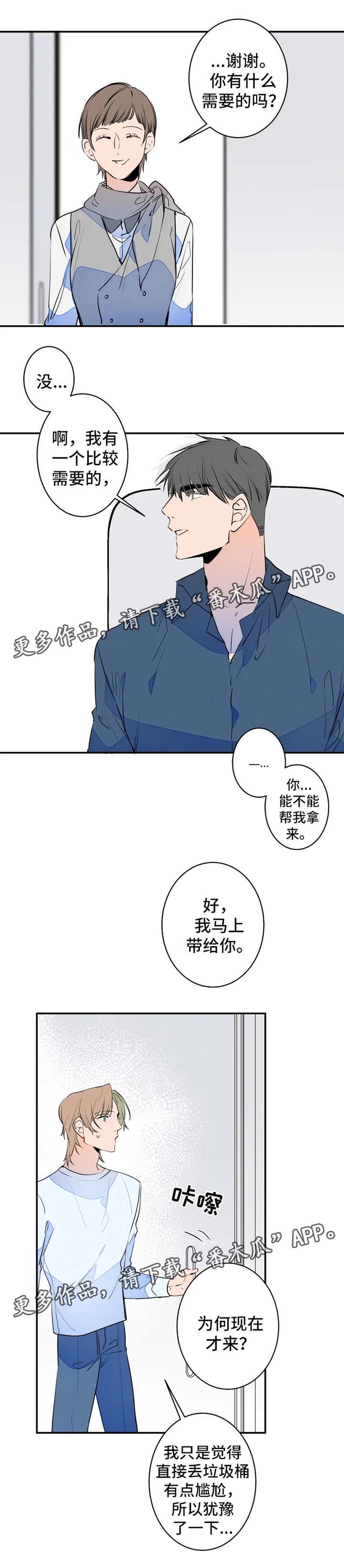 兔兔的小龙宝漫画漫画,第33章：创可贴3图