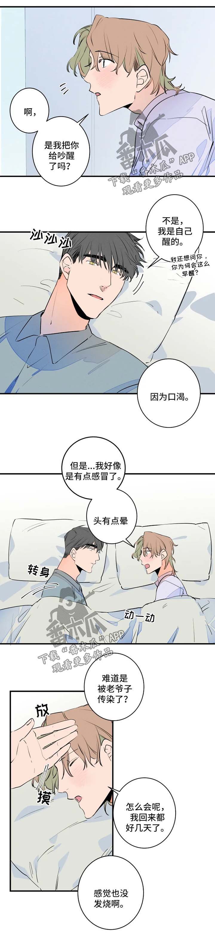 兔兔的小龙宝漫画漫画,第45章：悠着点2图