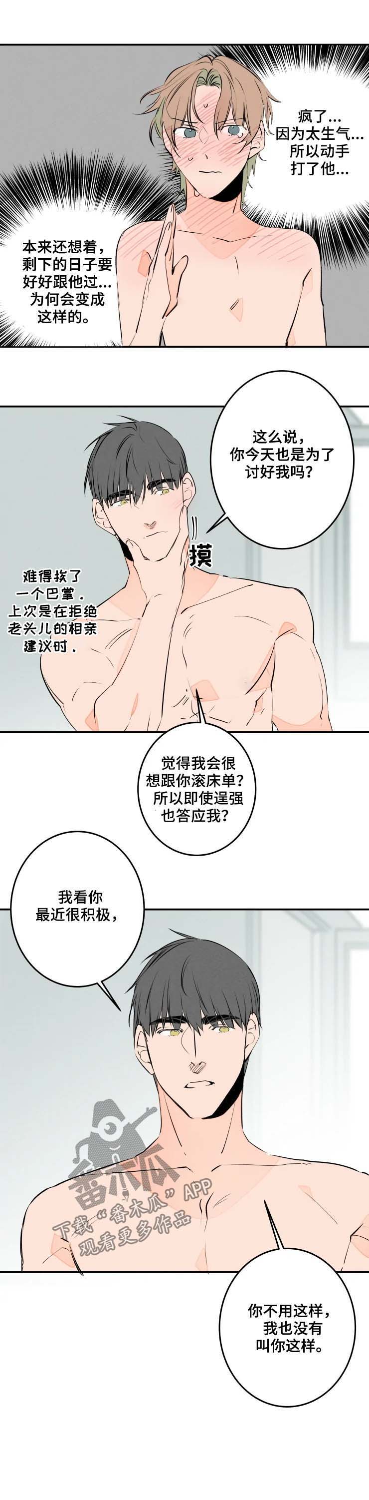 兔兔的小龙宝漫画漫画,第48章：到此为止4图