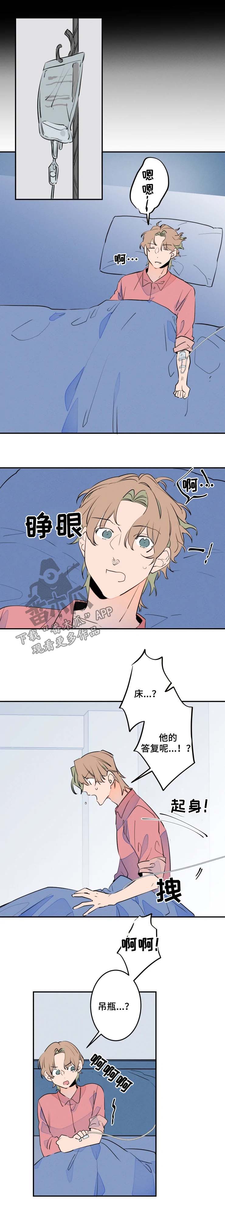 兔兔的小龙宝漫画漫画,第50章：好丢人4图