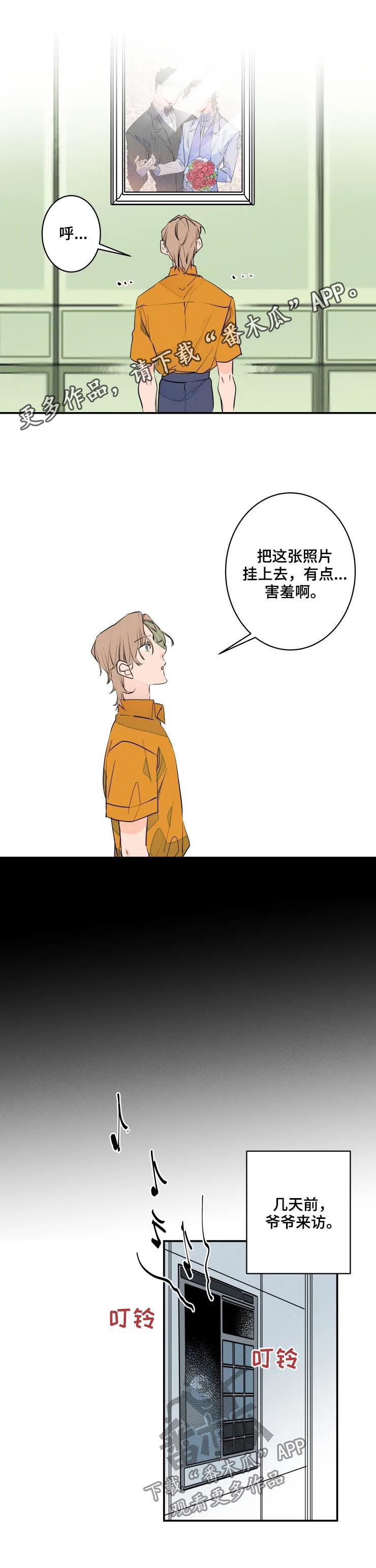 兔兔的小龙宝漫画漫画,第52章：婚纱照5图