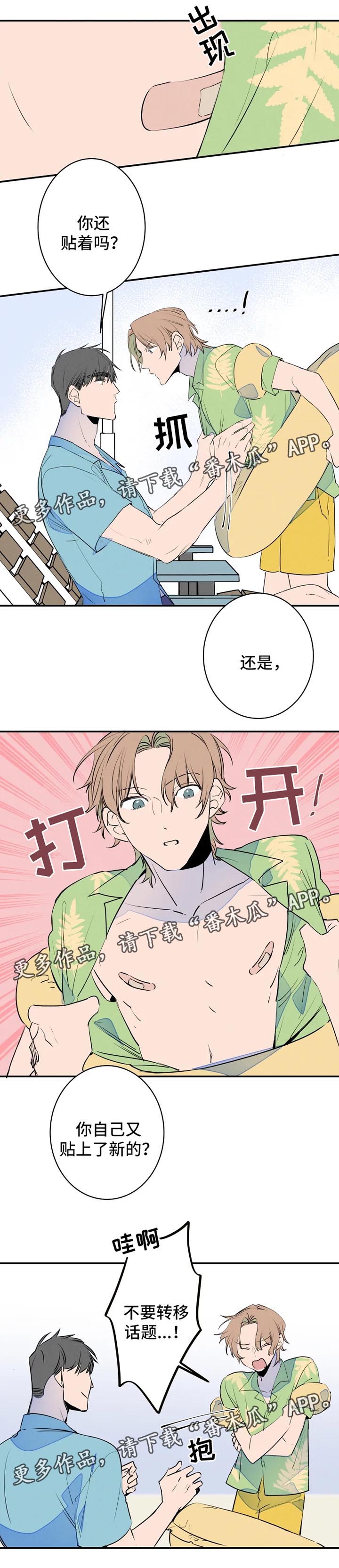 兔兔的小龙宝漫画漫画,第34章：海边2图