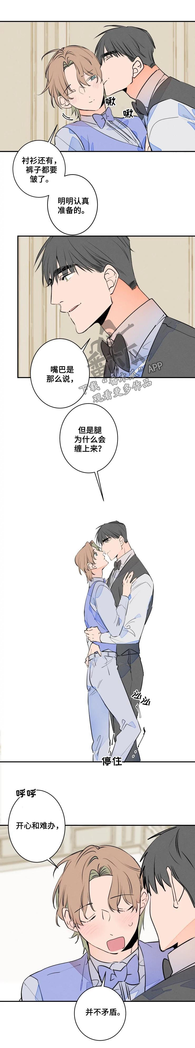 兔兔的小龙宝漫画漫画,第52章：婚纱照4图