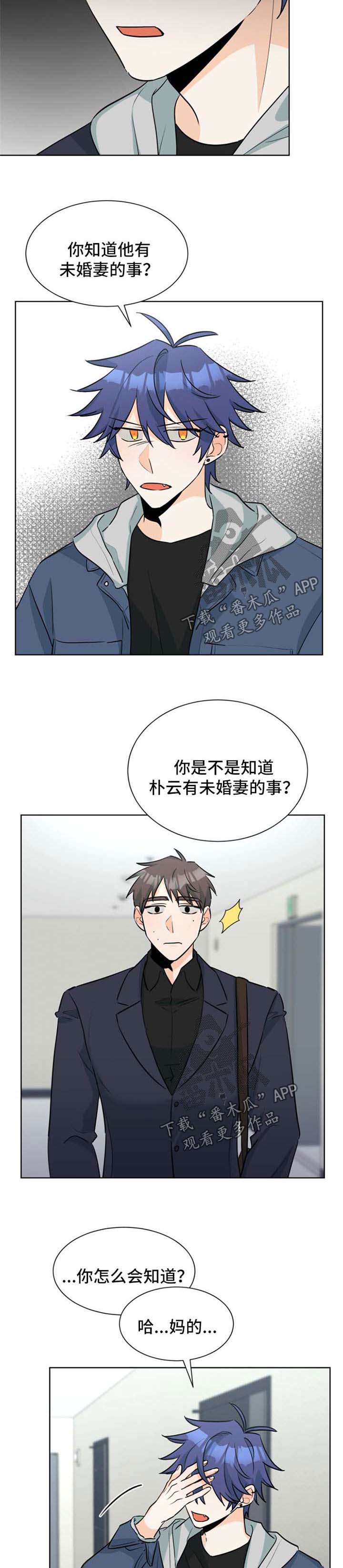 争宠精灵使漫画漫画,第66章：不再管3图