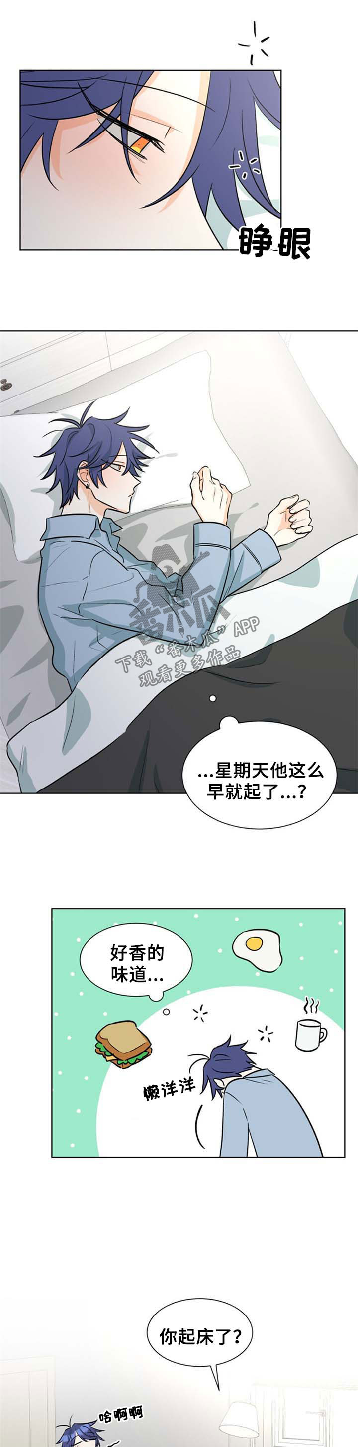争宠精灵使漫画漫画,第7章：眼镜7图