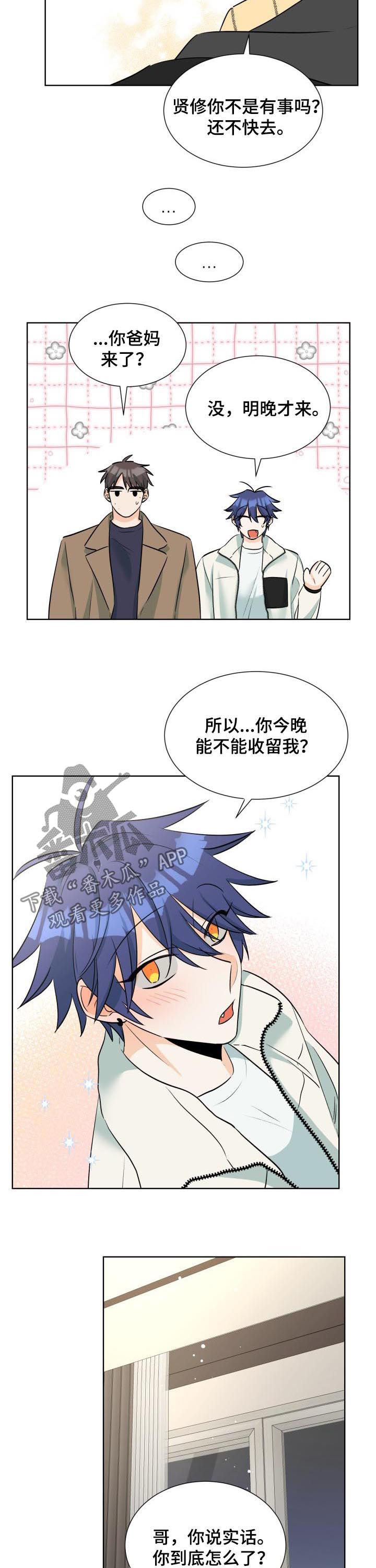 争宠精灵使漫画漫画,第46章：访客2图