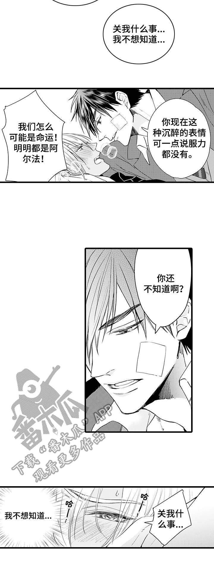 双重记忆美剧漫画,第5章：命定的伴侣1图