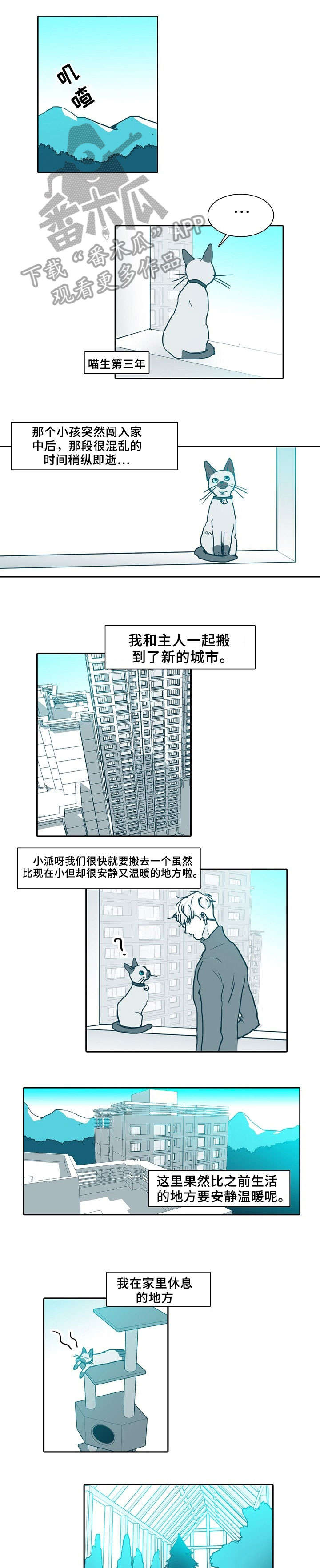 献给鲨鱼族的贡品漫画漫画,第16章：建议3图