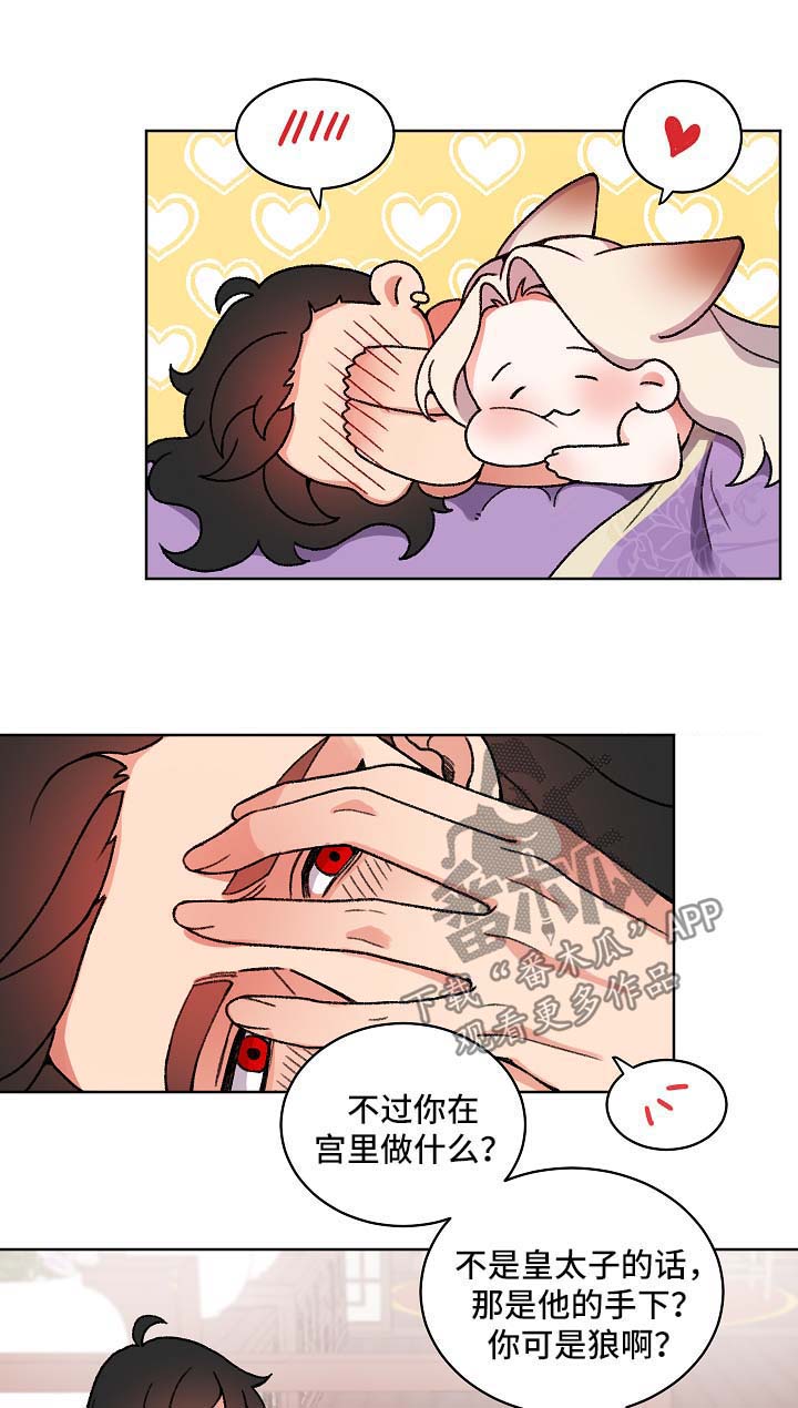 莫少逼婚，新妻难招架漫画漫画,第25话 去狩猎5图