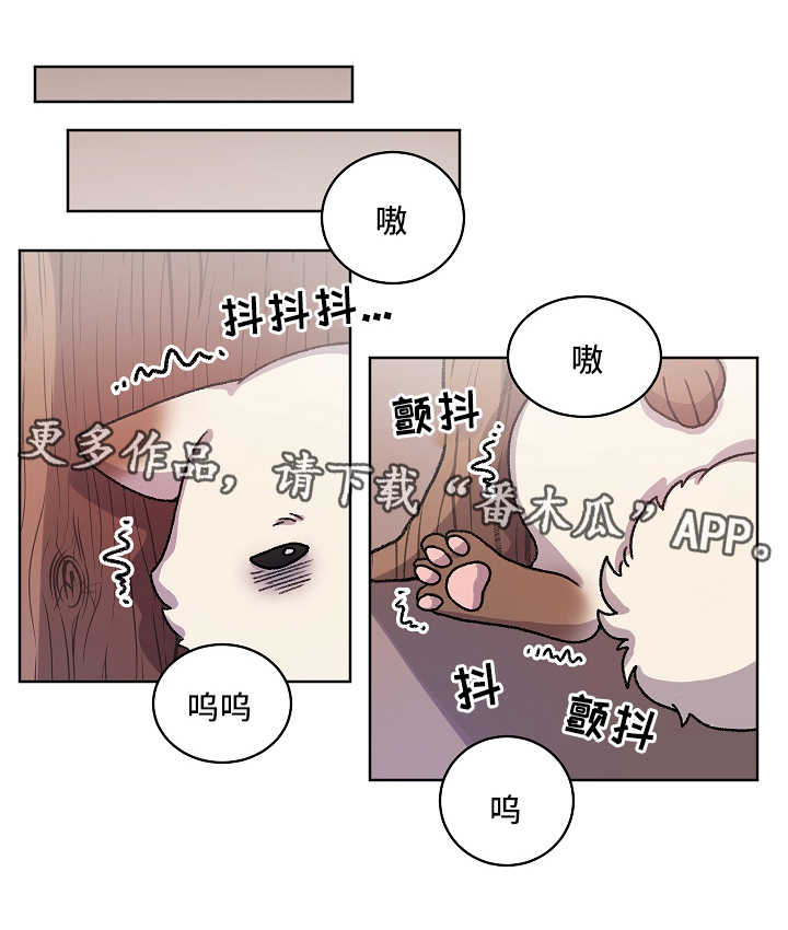 好久不见漫画免费土豪漫画,第56话1图