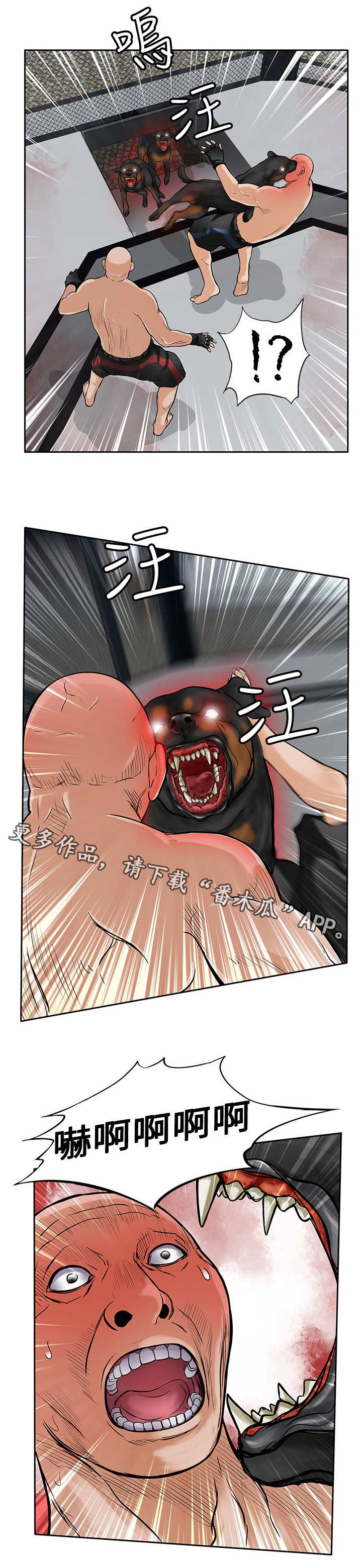 意外的邂逅漫画漫画,第41章：疯狗5图