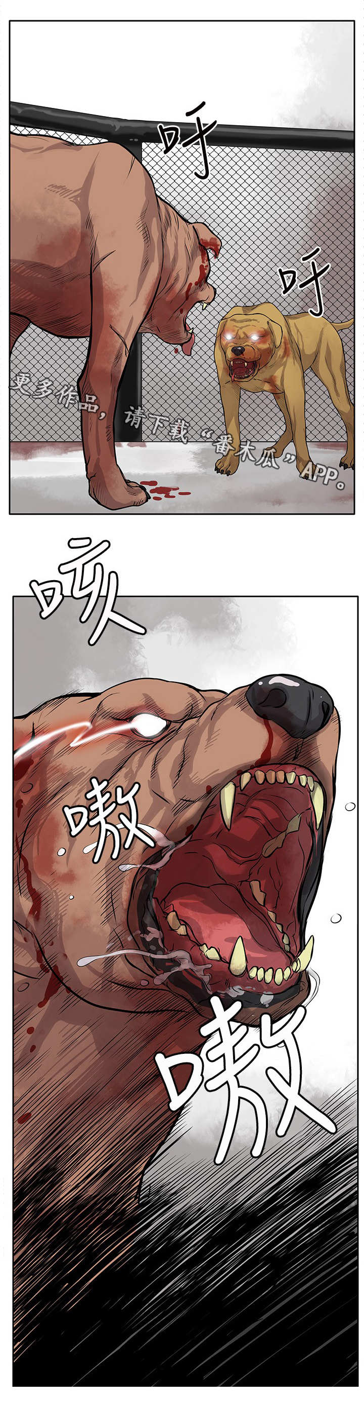 意外的邂逅漫画漫画,第3章：看谁先死1图