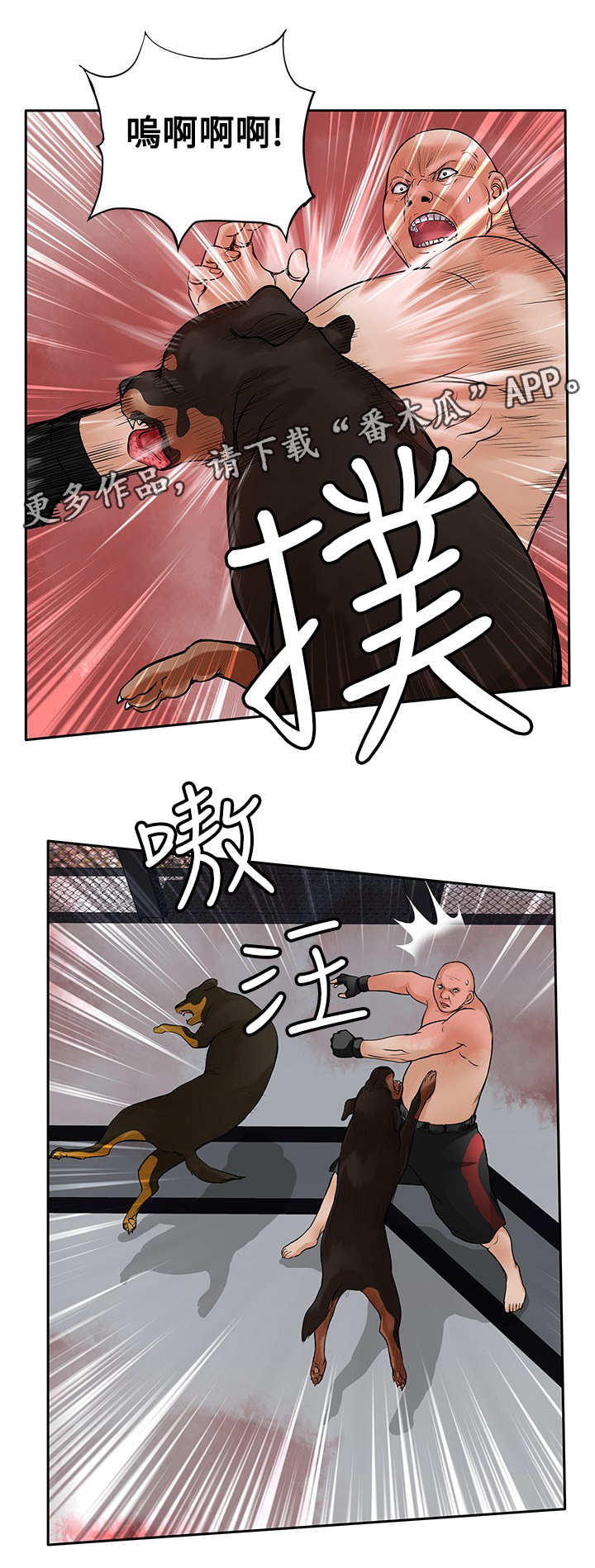 意外的邂逅漫画漫画,第41章：疯狗1图