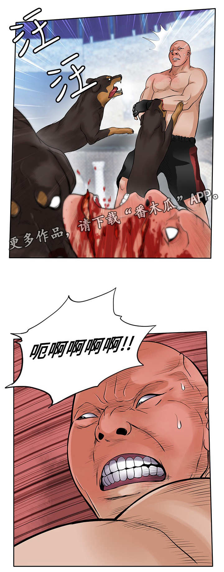 意外的邂逅漫画漫画,第41章：疯狗3图