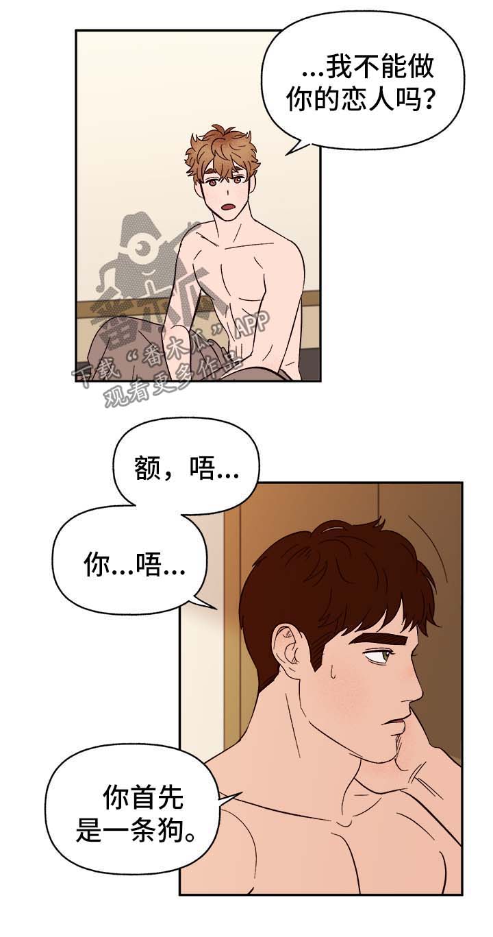 香草味漫画完整版免费阅读漫画,第37章：首先你是只狗3图