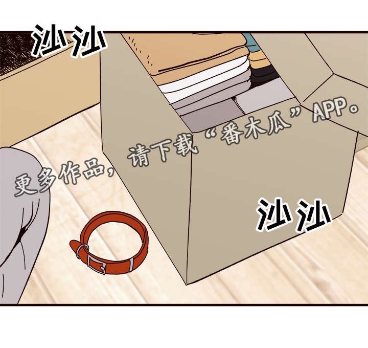 咖啡遇上香草完整漫画漫画,第25章：说服4图