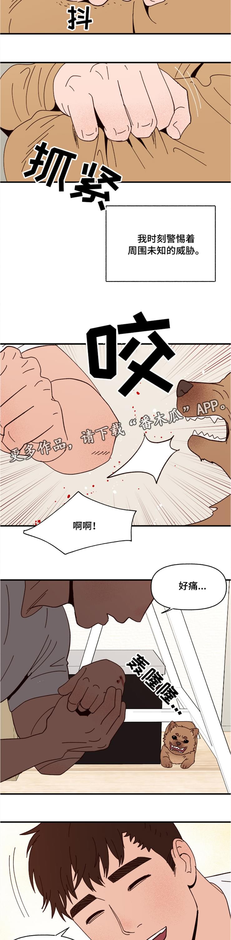 香草甜蜜漫画漫画,第18章：回忆3图