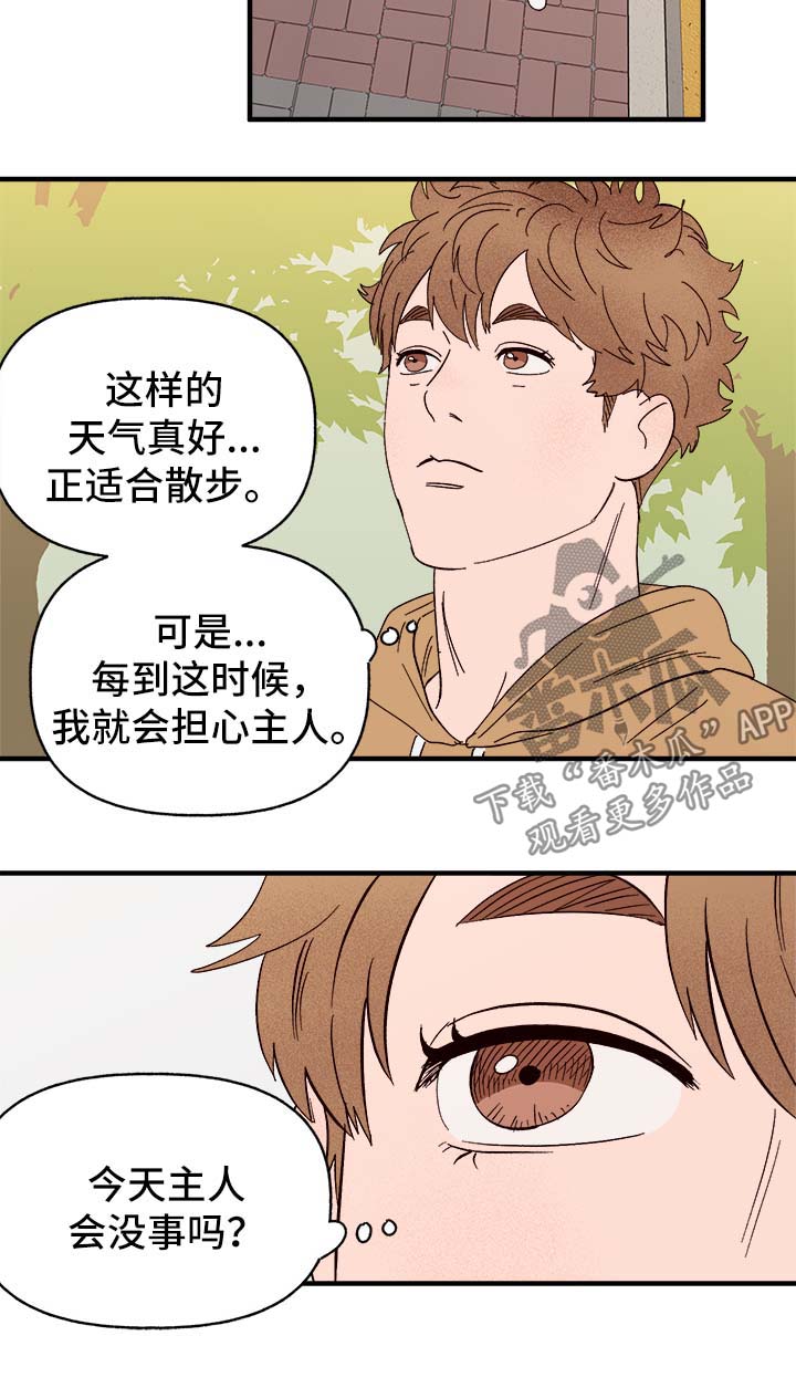 咖啡遇上香草完整漫画漫画,第33章：忠告2图