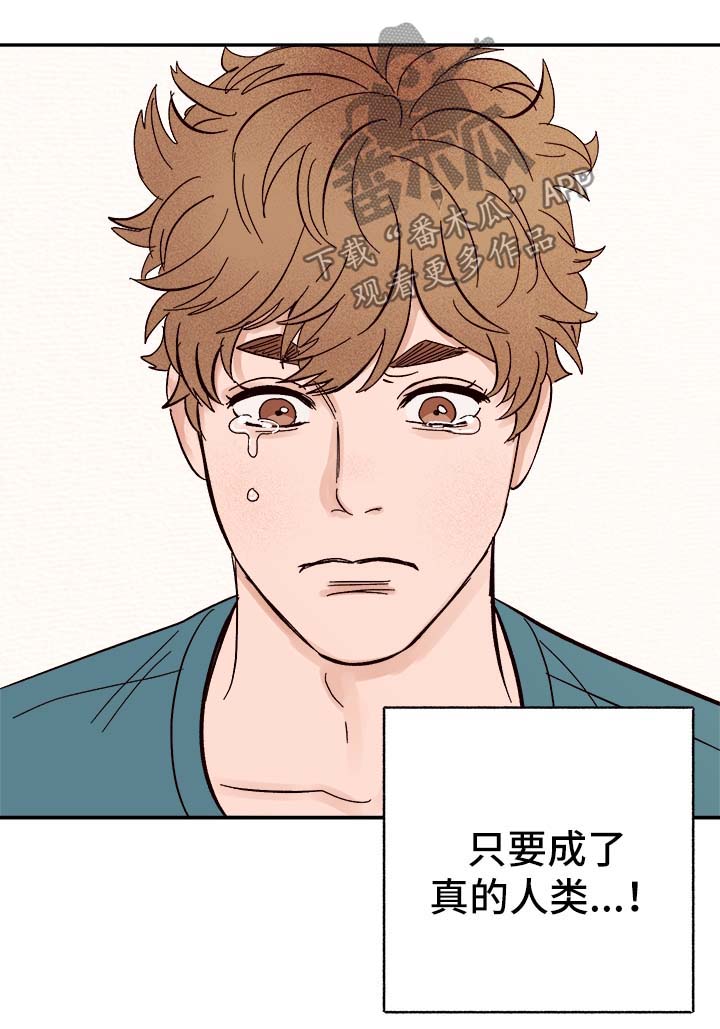 香草味漫画完整版免费阅读漫画,第40章：下定决心5图