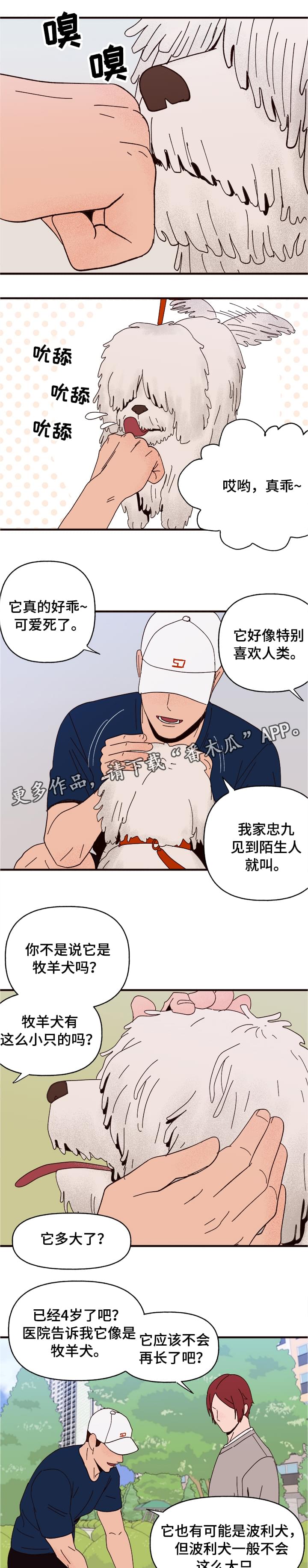 香草甜蜜漫画漫画,第10章：谎言1图