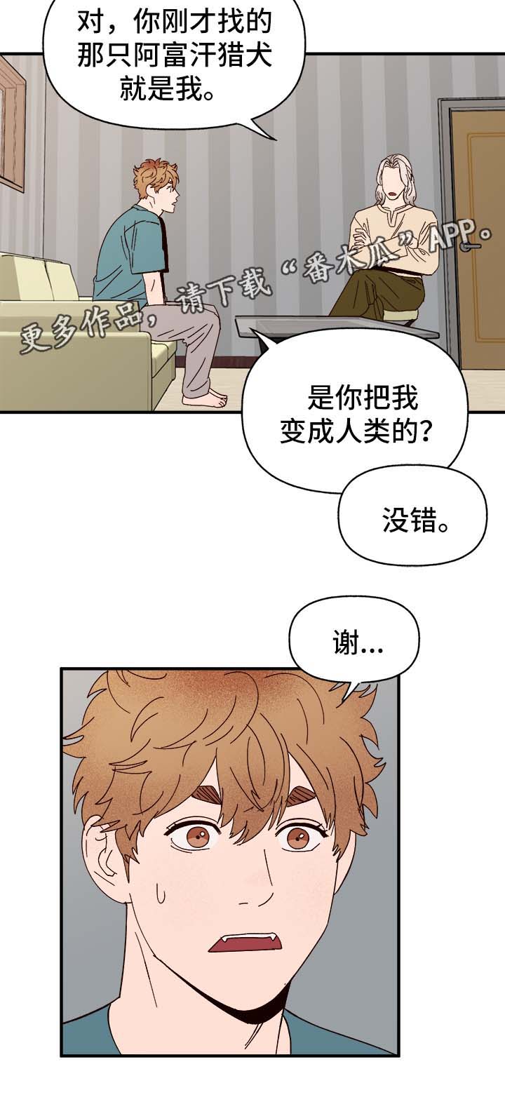香草甜蜜漫画漫画,第30章：隐晦3图