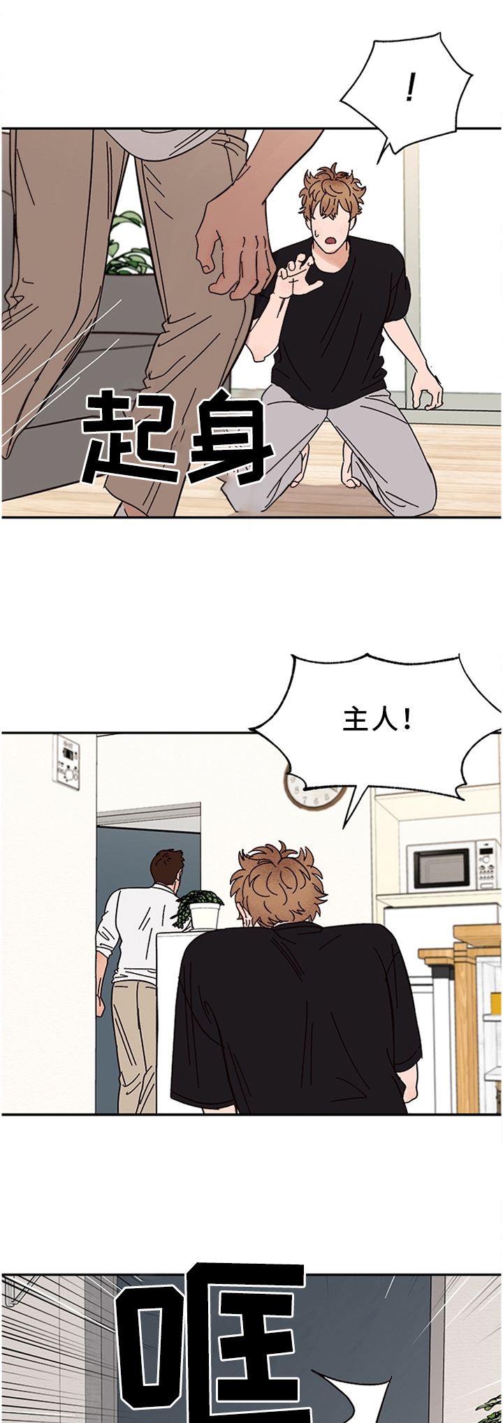 香草甜蜜漫画漫画,第47章：不该是这样的1图