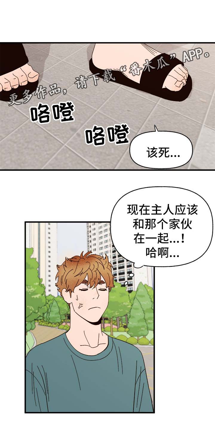 校霸的跟班漫画漫画,第169章停下7图