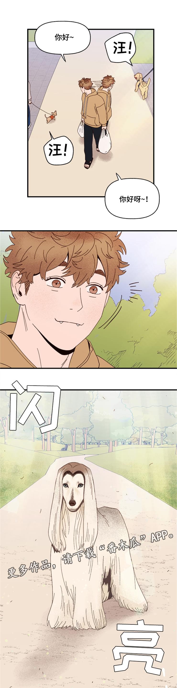 香草甜蜜漫画漫画,第17章：传说5图
