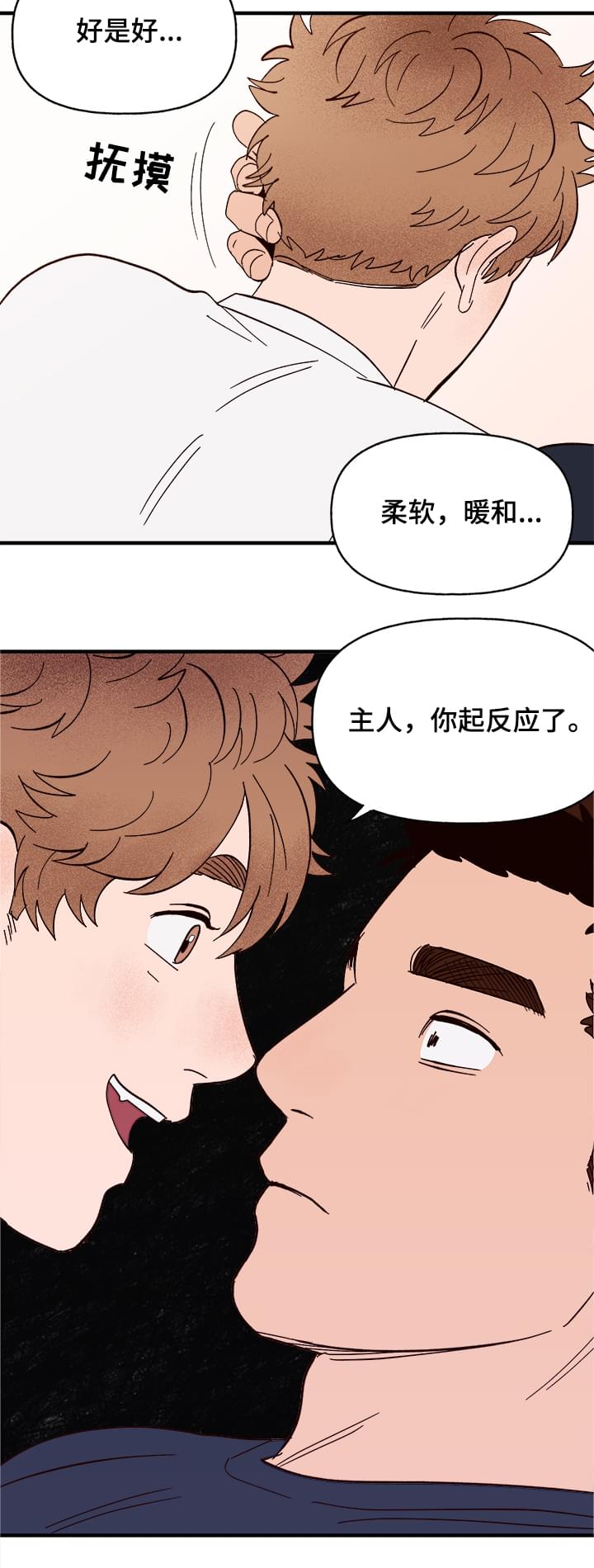校霸的跟班漫画漫画,第95章找到1图