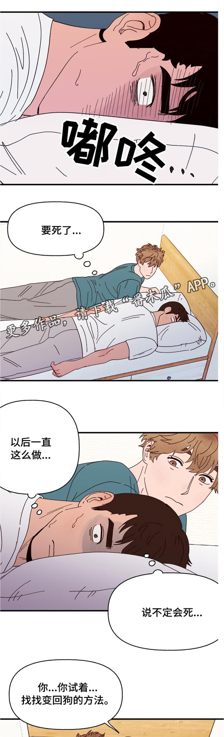 香草味漫画速看漫画,第16章：可爱的坏人5图