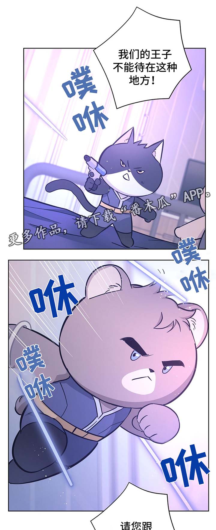 失忆陷阱漫画免费漫画,第31章：结婚5图