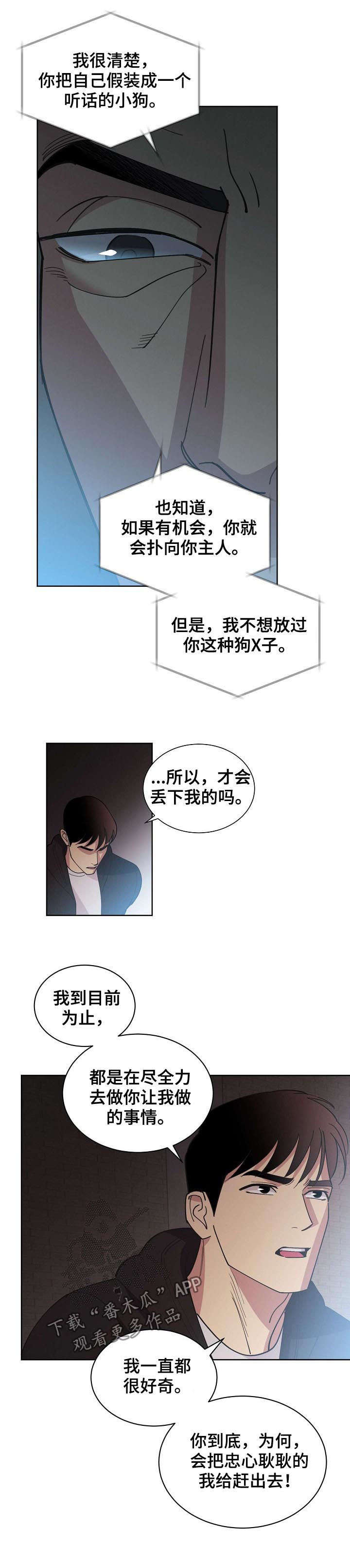 漫画血的诅咒漫画,第24章：礼物5图