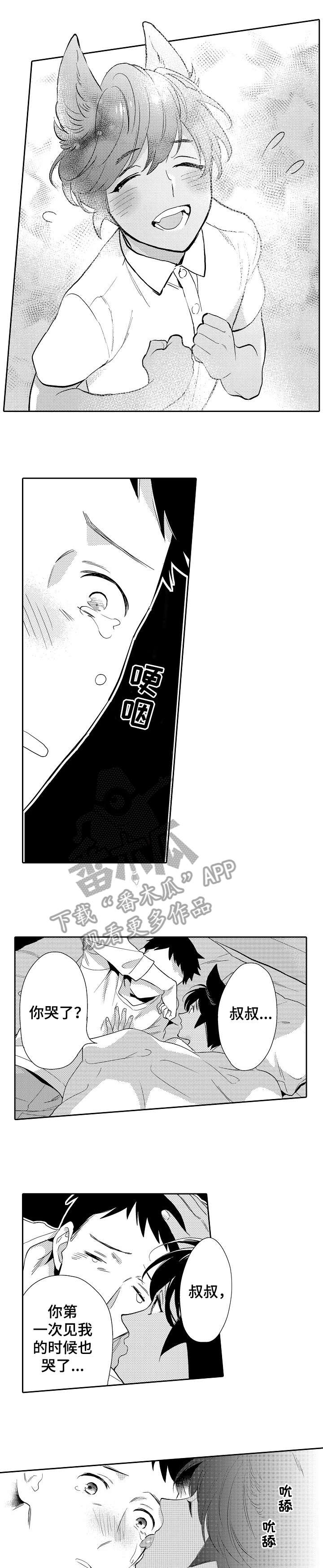 迷途之旅漫画漫画,第20章：最后一次1图